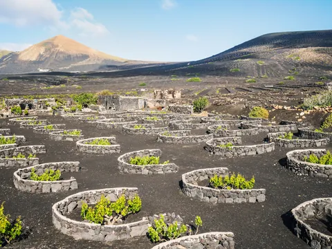 Ruta Buggy Road Trip Lanzarote la Geria Viñedos Puerto del Carmen Canarias