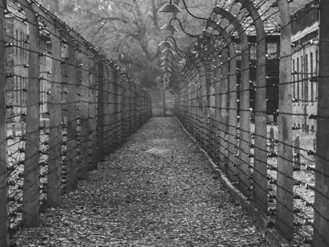 Tour resistencia durante el nazismo