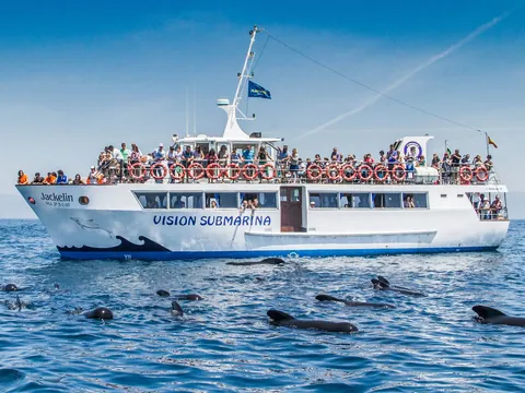 Avistamiento Cetacos Tarifa Estrecho Gribraltar barco Observacion Cádiz