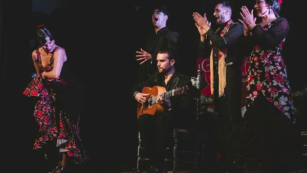 espectaculo-flamenco-casa-ana.jpg