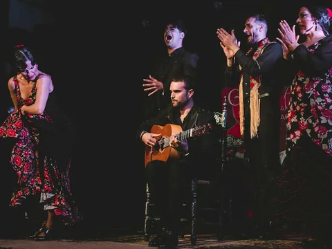 espectaculo-flamenco-casa-ana.jpg