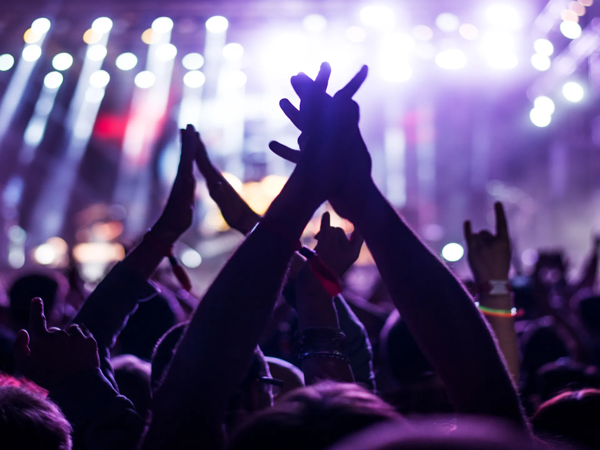 Concierto - Qué ver y qué hacer en Amberes en 2024 - Blog - Buendía Tours
