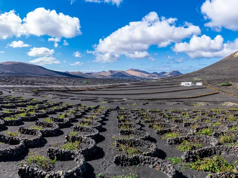 excursión Lanzarote desde Fuerteventura Vino Cenizas barco Ferry Corrajelo Canarias Canarias