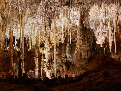 Densa red de estalactitas y columnas en las Cuevas dels Hams, Mallorca