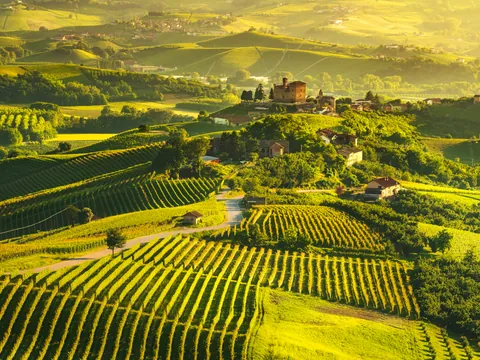 Excursión a la región del Chianti con cata desde Florencia