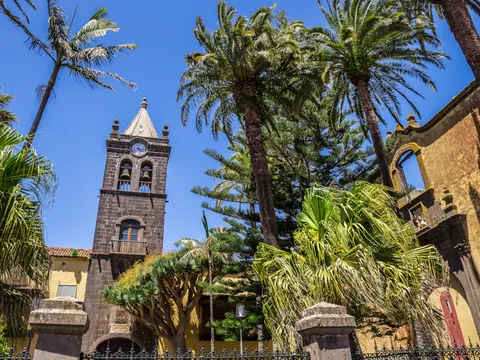 Antiguo Convento de Santo Domingo con palmeras y árboles en su jardín.