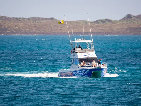 Barco desde el que se realiza el avistamiento de cetáceos en Corralejo.