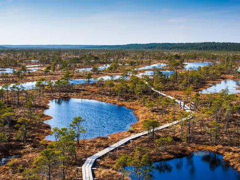 Parque Nacional de Kemeri, el tercero más grande del país, fue fundado en 1997.