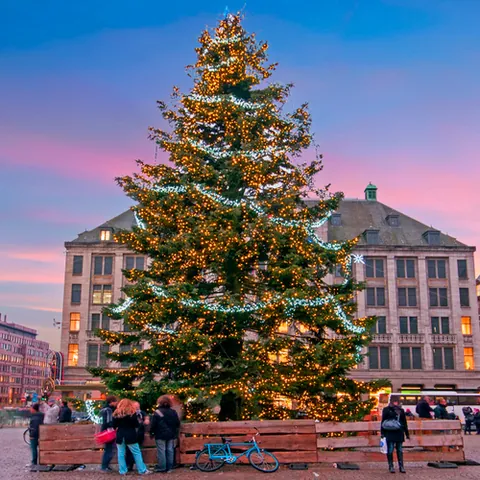 Árbol de Navidad en la Plaza Dam- - Navidades en Ámsterdam- guía de viaje - Buendía tours