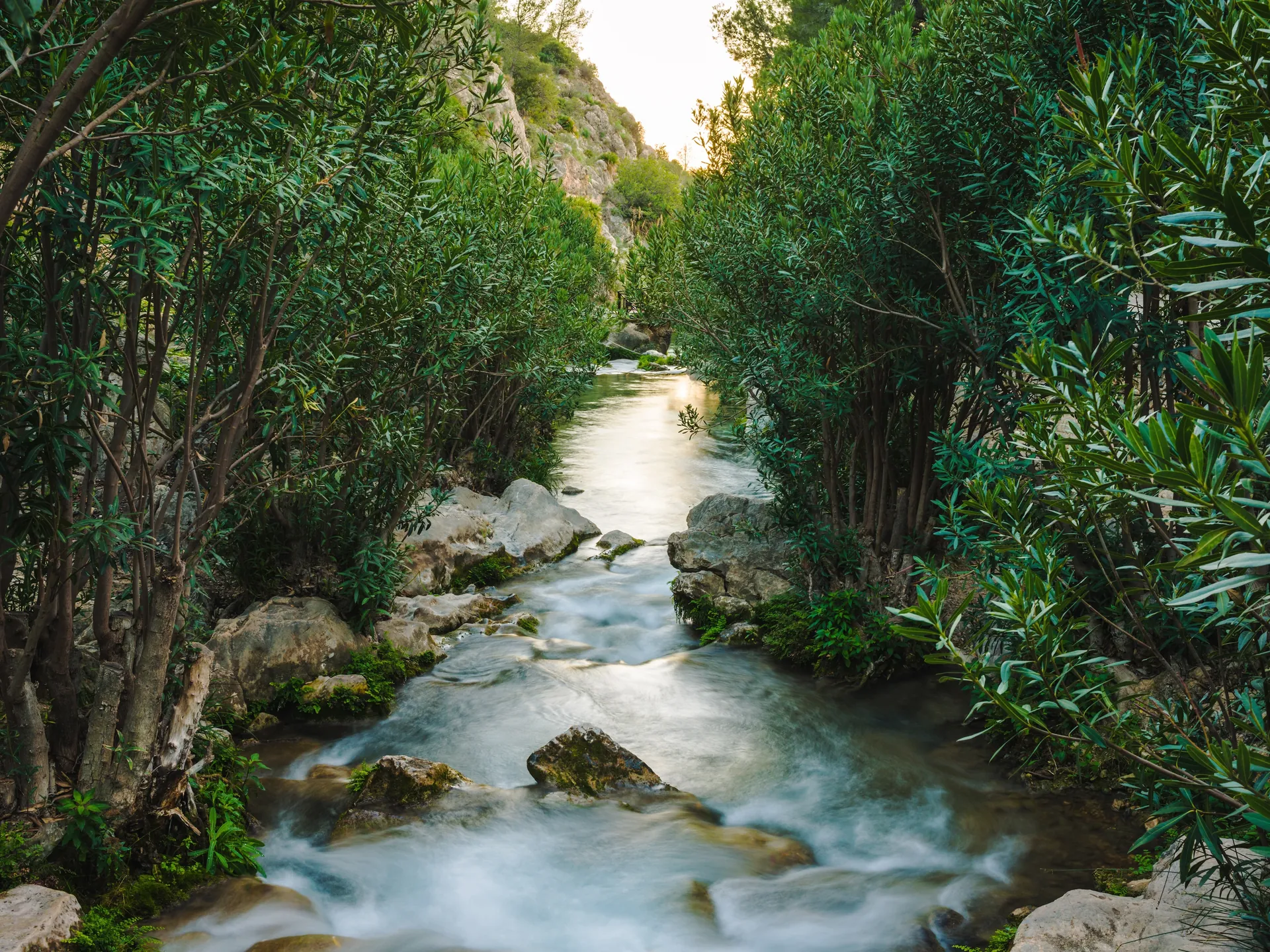 rio fuentes algar