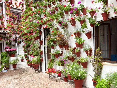 visita-guiada-patios-cordoba_andalucia_buendia-tours (14).jpg