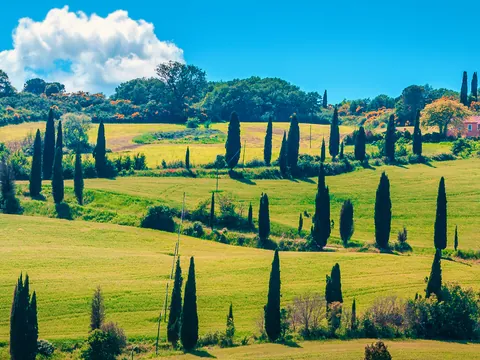 Excursión a Pienza y Motepulciano con cata de vino desde Siena