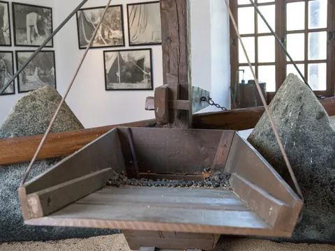 Oleoturismo en la Hacienda La Laguna