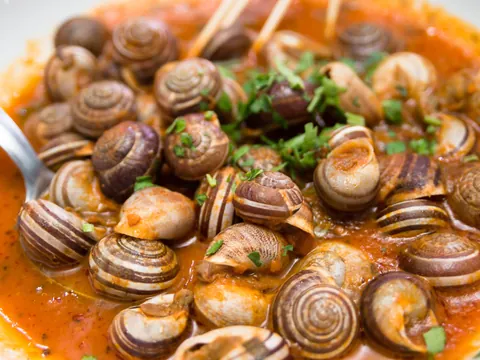 Caracoles - Comida típica de Sevilla - Comer en Sevilla - Guía de viaje Sevilla - Buendía Tours