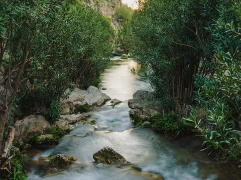 Arroyo de aguas claras rodeado de vegetación frondosa y rocas en las Fuentes del Algar.