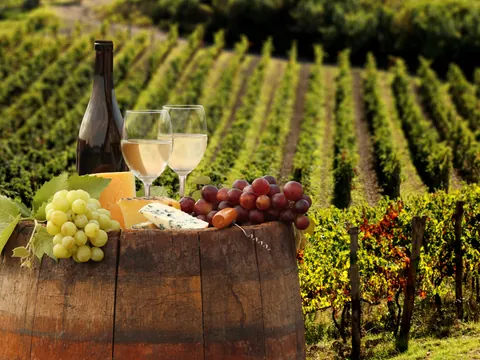 Vino blanco con copas, uvas y queso sobre barril en viñedo de la Toscana, Italia.