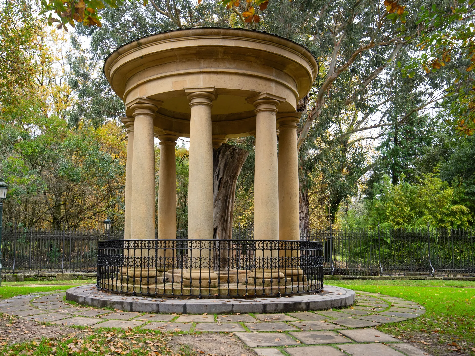 Roble antiguo gernika