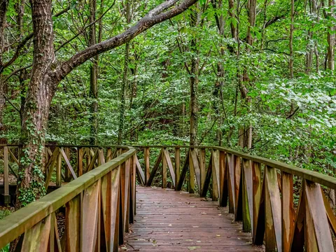 Sendero Bosque de Secuoyas en Santander