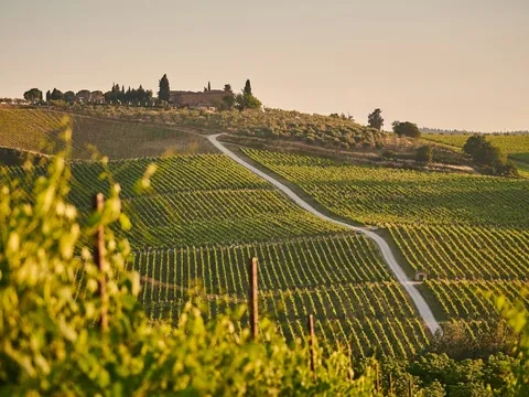 Excursión en tren a la Toscana con almuerzo y cata de vino desde Roma