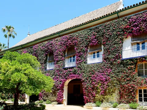 entradas-palacio-duena.jpg
