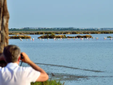 Ruta Parque Nacional Doñana Todoterreno 4x4 Cádiz Huelva Sevilla Avistamiento Pajaros
