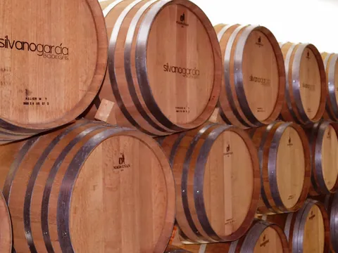 visita-bodega-silvano-garcia_jumilla_viñedo_vino_murcia_buendia-tours (2).jpg
