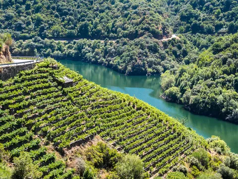 excursión Ribiera Sacra desde Santiago Compostela visita guiada Transporta cañónes Rio Sil paseo en barco Ourense Galicia
