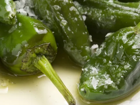 Pimientos del padrón de Santiago de Compostela-santiago de compostela donde comer