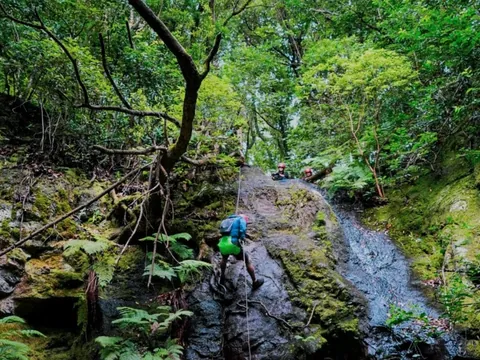 Barranquismo Iniciacion Tenerife Barranco Anaga Llano Frio Actividades islas Canarias