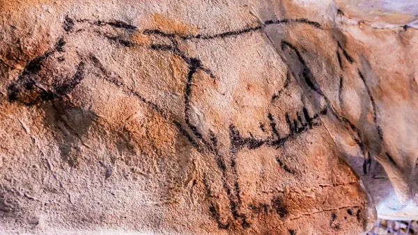 Cómo elegir entre los tours a pie y visitas guiadas para conocer las Cuevas de Altamira