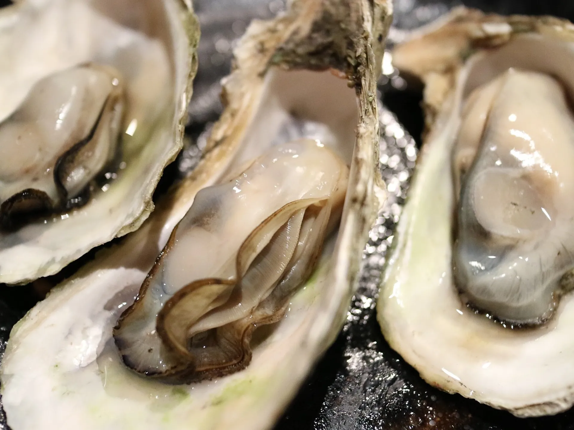 Ostras en el restaurante Bar Bulot de Brujas- Restaurantes con una estrella michelín- Bélgica, el paraíso de los gourmands- Blog - Buendía Tours