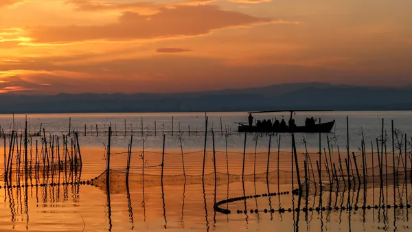 Desde el agua, los canales se abren paso entre la vegetación. El guía señala una barraca: allí empieza otra historia.