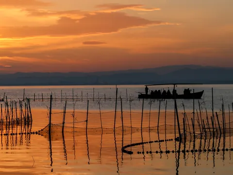 Desde el agua, los canales se abren paso entre la vegetación. El guía señala una barraca: allí empieza otra historia.