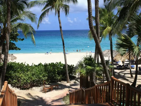Siluetas que se mecen con la brisa caribeña, ofreciendo sombra natural y un toque tropical que define el paraíso cubano.