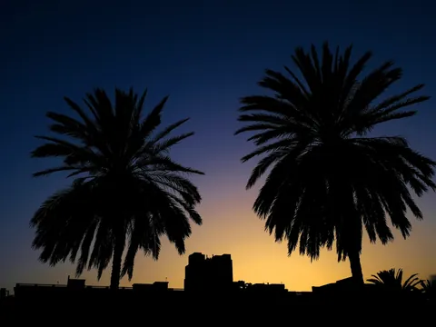 Siluetas de palmeras y edificios contra el cielo al atardecer en Las Palmas.
