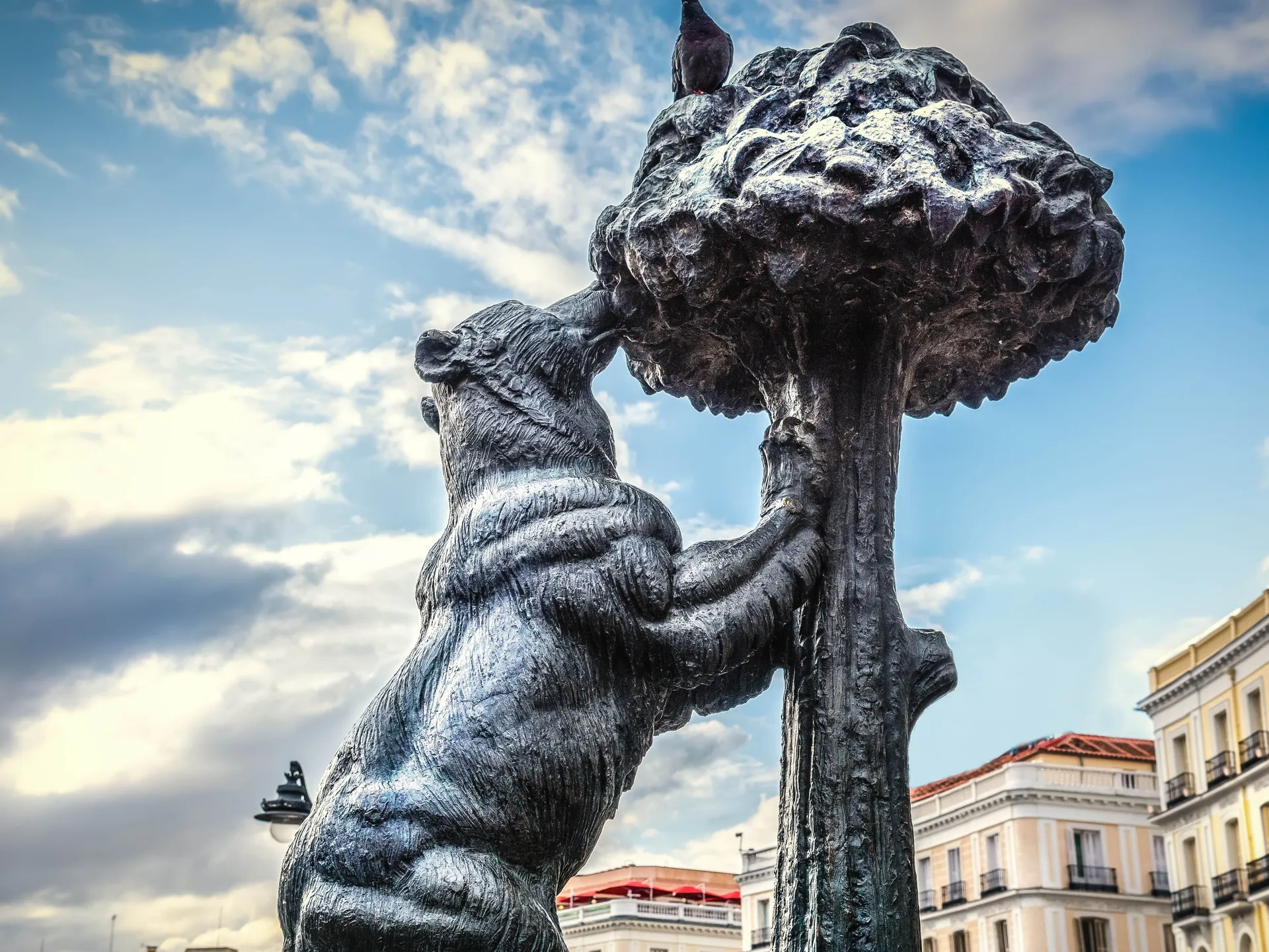 El Oso y el Madroño - Puerta del Sol - Qué ver en Madrid - Guía de Viajes Madrid - Buendía Tours