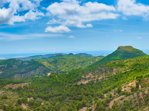 Excursión en 4x4 por el Parque Natural de Calderona desde Valencia